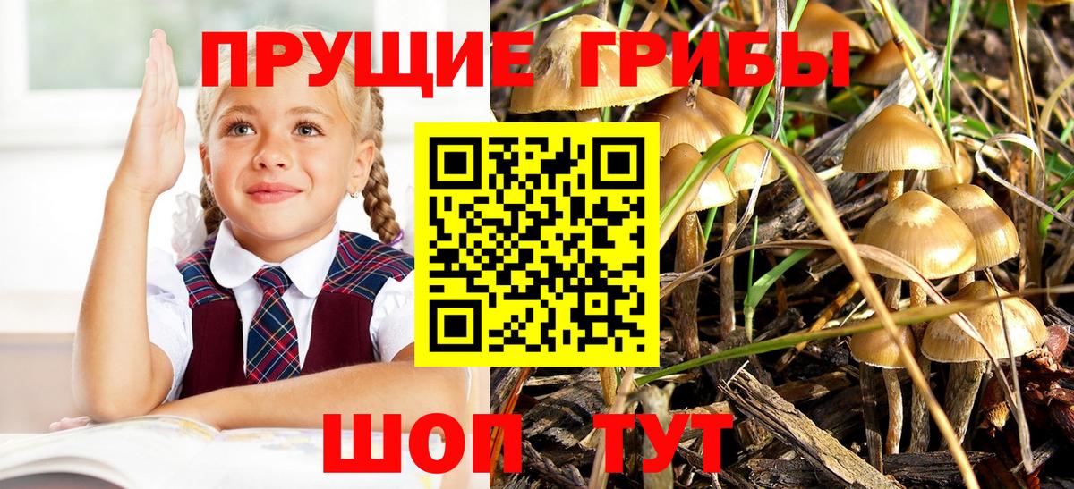 цены наркотик  Галлюциногенные грибы ЛСД  Вход с VPN  Нижний Новгород 